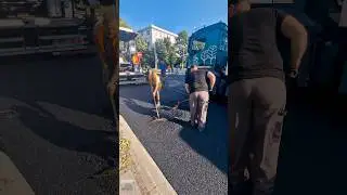 Dynapac Paver & Hamm HD 14 Roller #asphaltpaving #roller