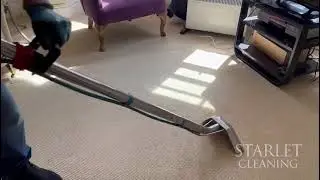 Professional steam carpet cleaning in London | see how Starlet Cleaning transforms your home!