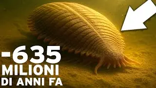 Prima dei dinosauri: I SEGRETI dell'Era Perduta delle Creature Ediacariane!  Documentario Storia