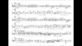 Tchaikovsky 5th Study for bassoon (Ž Smalys)