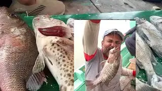Rehri ghoth to sukoro zabardas fishing point vip fishing update 