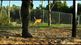 יחידת עוקץ - ידידו הטוב ביותר של הלוחם