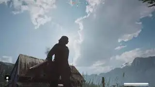 Vigor visual glitch