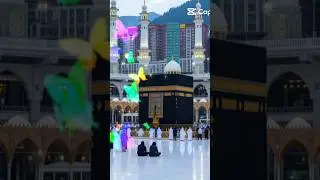 Wo shera mohabbat #viral#allah#short