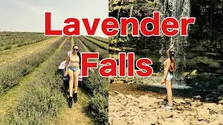 KELSO LAVENDER FARM/HILTON FALLS - 1 hour drive away from Toronto