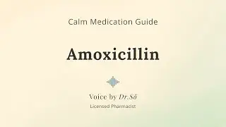 Amoxicillin &mdash; Calm Antibiotic Guide from a Pharmacist