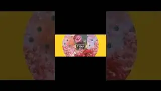 Varisu First Single promo# trending