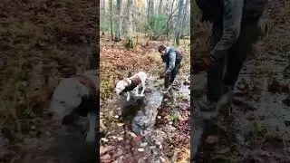 The Razorback Round-Up. #bonjovi #hunting #dogoargentino #rock #outdoors #arkansas #shorts #wildboar