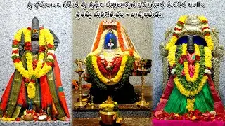 శ్రీ భ్రమరాంబ సమేత శ్రీ శ్రీశైల మల్లిఖార్జున భ్రహ్మసూత్ర మరకత లింగం ప్రతిష్టా మహోత్సవం.Bapulapadu