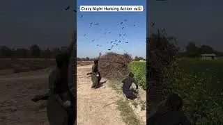 Crazy Night Hunting Action 🦝😱 #harehunting #harehunting #farming #hunting
