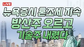 [라이브] 뉴욕증시 혼조세 지속, 방산주 오르고 기술주 내렸다, 국내증시는?