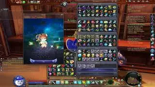 Aion 5.6 Cute Minion Contract, Minion A?