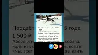 #смех #бабки #доктор #анекдот #мужжена#fun #funnyshorts #funny#unnuvideo#LustigesVideo #втренде