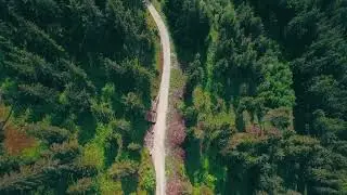 Free Road Stock Video Footage Download Drone Road Stock Video Footage