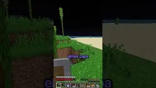 Minecraft'taki En Gereksiz Eşya
