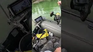 CAN I LAND THIS FISH ?! 😱 Insane Catfish Fight in the Weeds💪 | Fishing for monster catfish on river
