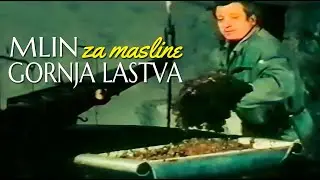 Crnom Gorom: Stari mlin za masline Gornja Lastva, dokumentarna reportaža HD