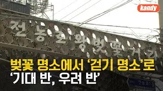 ‘전농로’를 보행자 우선도로로?…‘기대 반, 우려 반’ / KBS  2025.01.31.