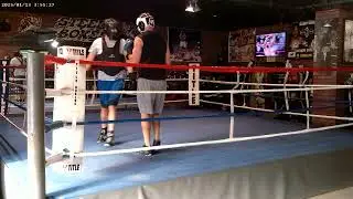 STEELEBOXER GYM ONLINE BOXING/KICKBOXING TRAINING PROGRAM www.steeleboxer.com