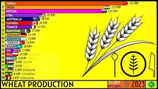 TOP 20 LARGEST WHEAT-PRODUCING COUNTRIES IN THE WORLD