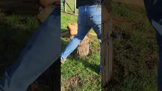 Splitting Rounds of White Oak - Utilizing Chain and Bungee. @TennesseeFarm