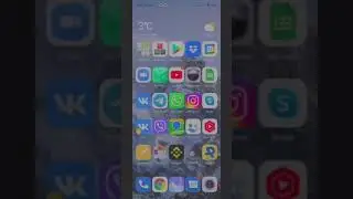 Как активировать и настроить робота Royal Q