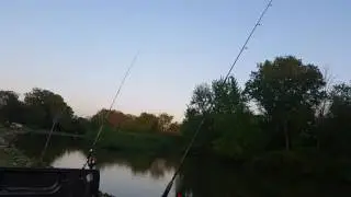 OUT FISHED BY A GIRL?!? Catfish on a Beetle Spin!!