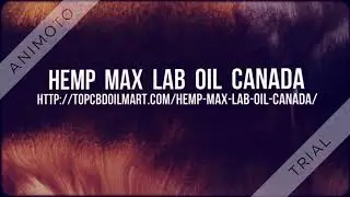 Hemp Max Lab Oil Canada Review: Legit Full Spectrum Hemp Oil?