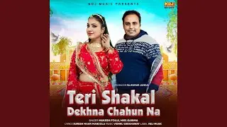 Teri Shakal Dekhna Chahun Na