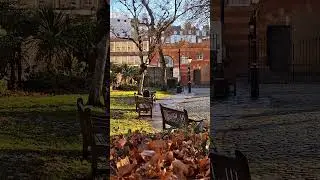 Фрагменты викторианского пейзажа &hearts;️ #london #italianoingranbretagna #uk