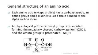 Amino Acids || Classification ||  Part 1 |BIOCHEMISTRY ||  |NIPRM || DR NIDA AKBAR || CMT