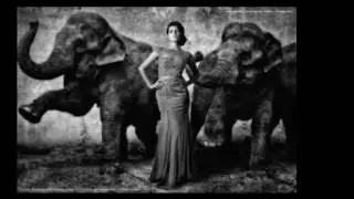 Dovima With Elephants / Stardust . Denis Solee / Artexpreso 2016