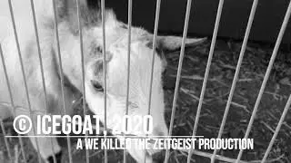 IceGoat - Countryside Alliance (official music video 2020)