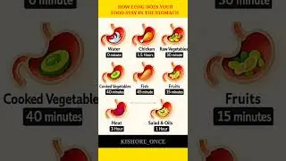 Food Digestion Timing😯|#shorts #kishoreonce #food #digestivehealth #shorts #viralshorts