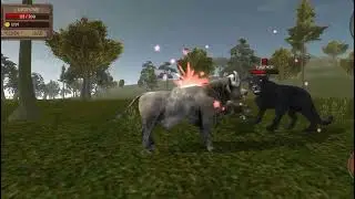 panther vs buffalo 😱 so funny 😂🥵🤣, arwal gaming