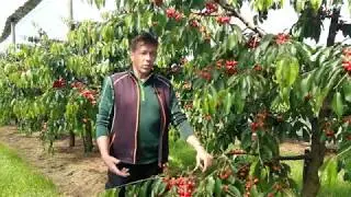 Immenstaader Flüsterpost - Folge 7: Obst- & Ferienhof Eberle