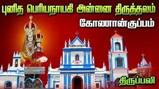 LIVE - 15-10-2023 | Konankuppam Our Lady Periyanayagi Shrine | Sunday Tamil Mass | Mercy TV