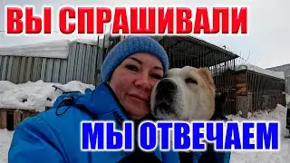 ОТВЕТЫ НА КОММЕНТАРИИ И ВОПРОСЫ! НУ И НАШИ ХВОСТЫ! КАК БЕЗ НИХ?)