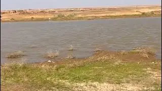 رجل البرية على شاطئ البحيره