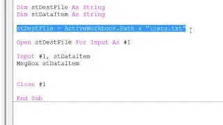 26. Introduction to Programming with VBA - Read Data from a Text File