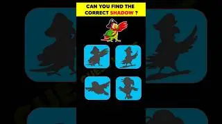 Eyes Challenge | Can You Find The Correct Shadow ➡️1 | Test Your Eyes #shorts #viral #riddles