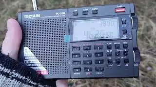 UVB-76/The Buzzer 4625Khz receive in Kaliningrad
