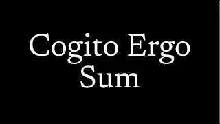 The Foundation of Reality - Cogito Ergo Sum