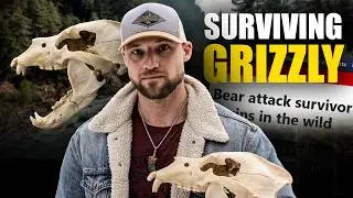 A Black Bear Hunt Turned Into a Grizzly Attack