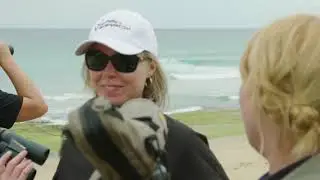 PPWCMA