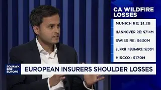 European insurance giants take $3.5 billion hit from Los Angeles wildfires