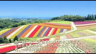 5262＜4573【15】モレイ＝カレンダー説Moray,Peru=Flower+Rock Calendar on Nazca Theory花（岩）カレンダー＋ナスカ理論による証明Hiroshi Ha