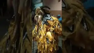 Folia de Reis 2025/2026