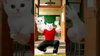 #brainrot #cat #tiktok #дети #котики #тикток #тренды #реки #тренд