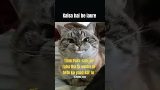 Ki haal chal bete 😎 #memes #youtubeshorts #shorts #short